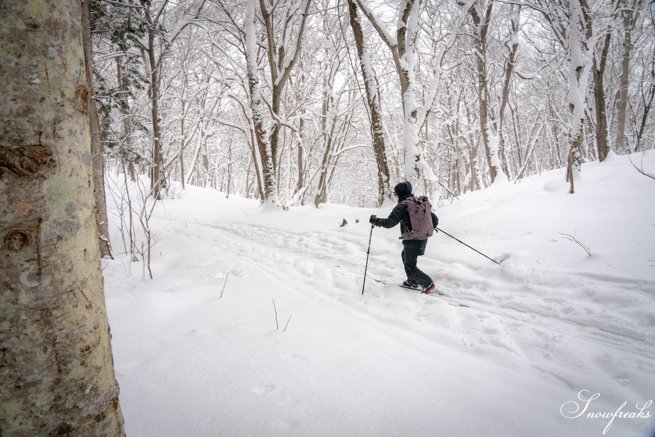 岩見沢市のスキーハイキング専門店『well-tuned』presents... 
